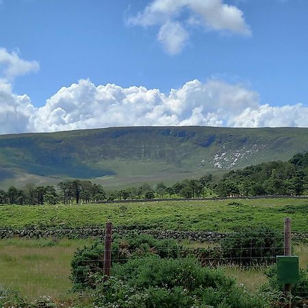 Hotel Oakwood Glamping Mourne Mountains à Moyad Extérieur photo