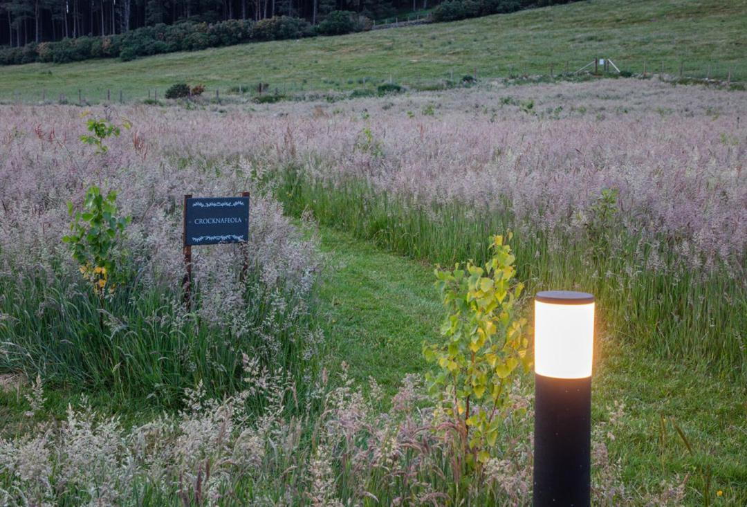 Hotel Oakwood Glamping Mourne Mountains à Moyad Extérieur photo